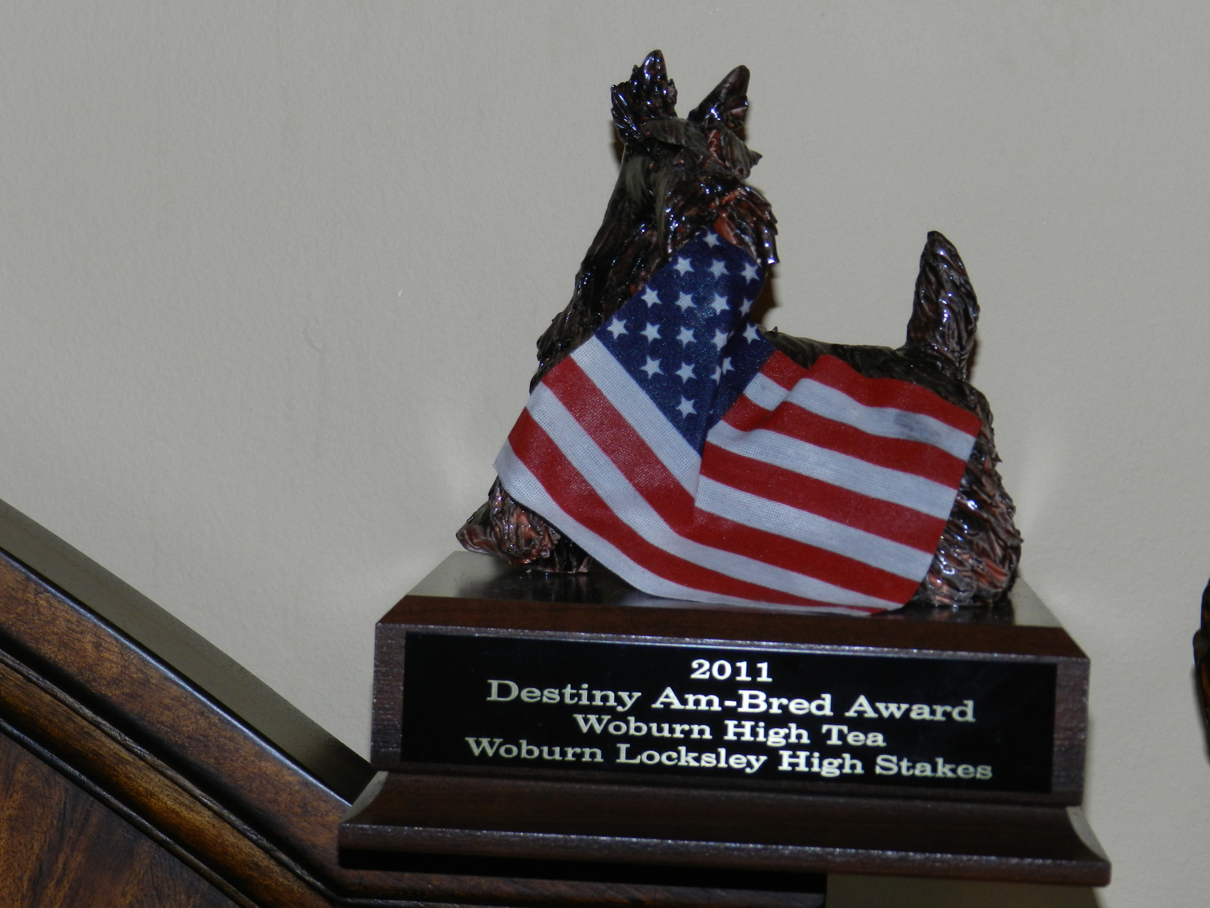 STCA Am-Bred Award 2011